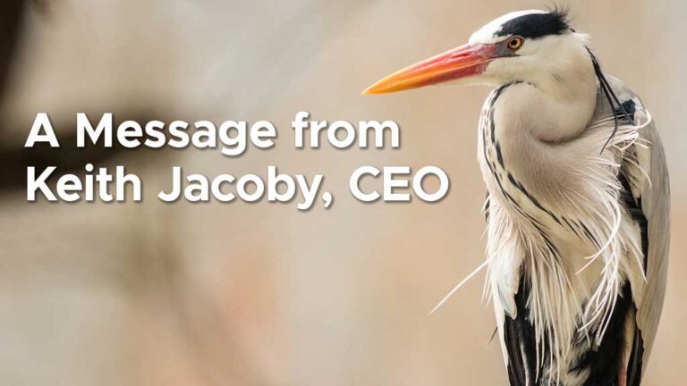 A close-up of a heron with text overlay that reads, "A Message from Keith Jacoby, CEO.